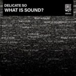 Delicate So – What Is Sound?