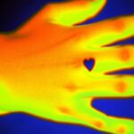 WVCHWY – makings of me