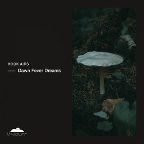 Hook Airs – Dawn Fever Dreams