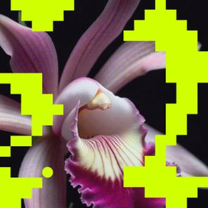 Milio – Erosie / Matter of Time