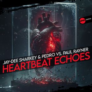 Paul Rayner, Pedro – Heartbeat Echoes