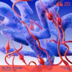 Hodge, Ma Sha – Middle Ground