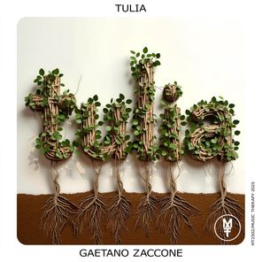 Gaetano Zaccone – Tulia
