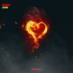 Drumboi – Latina