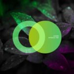 Eleene – Hypnotic Trip