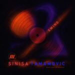 Sinisa Tamamovic – Swing