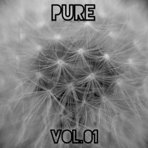 Rowan Echo, Rhythm Retreat – Pure Vol.01