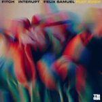 Fitch, Felix Samuel – Play Avicii (Extended Mix)