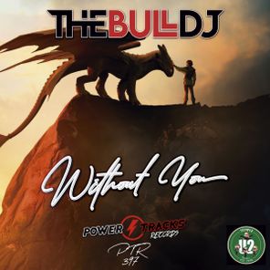 The Bull Dj – Without You