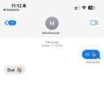 Tre Mission, Micofcourse – Hi, Bye