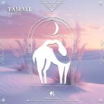 Cafe De Anatolia, Mike Kohl – Tamale