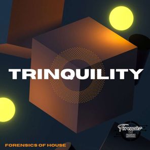 Forensics of House – Trinquility