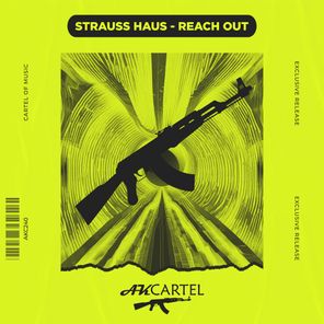 Strauss Haus – Reach Out