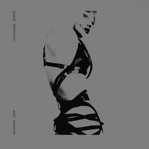 Silent Protocol – Into Shadow