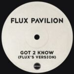 Flux Pavilion – Got 2 Know