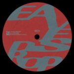 Paradom, RICCI – Mood Swing