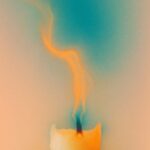 Malvae, uramaki. – TREMOR