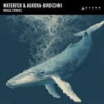 Aurora-bird (CHN), WaterFox – Whale Stories