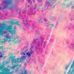 blue Dietrich, Nugi – Mycelius