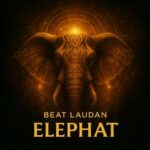 Beat Laudan, Amselcom – Elephat