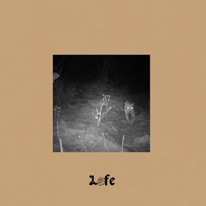 Lunch Money Life – Bow Down