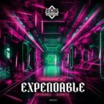 Rowney – Expendable / Journeys