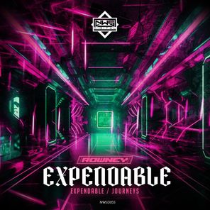 Rowney – Expendable / Journeys