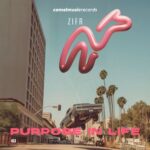 ZIFR - Purpose in Life 3 ZIFR – Purpose in Life