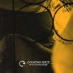Counting Sheep – What’s Going On EP