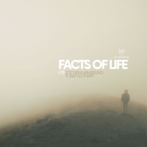 Jochem Hamerling, Jaap Ligthart – Facts Of Life