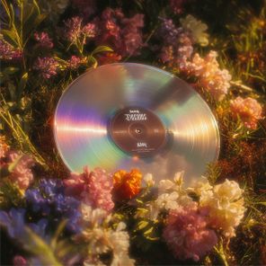 Jasq – dreams