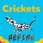 REFINE – Crickets
