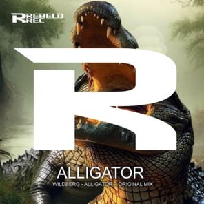 Wildberg – Alligator