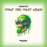 Dubcats – What You Want Again