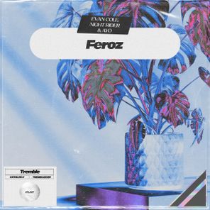 AYO, Evan Cole – Feroz