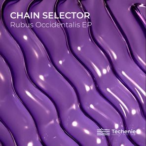 Chain Selector – Rubus Occidentalis