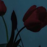 Exos, Ksenia Kamikaza – A Model Kit