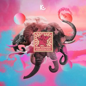 Always on Acid – Pink Elephant