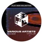 Sâlo, Sebreg – Play Nice Collective – VA 2025 Vol. 2