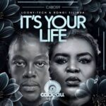 Bongi Silinda, LOONY-TECH – It’s Your Life