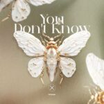 N3dek – You Don’t Know