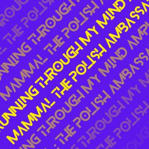 The Polish Ambassador, Ample Mammal – Running Through My Mind