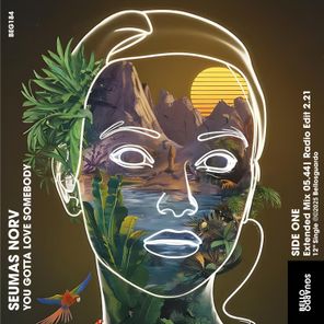 Seumas Norv – You Gotta Love Somebody