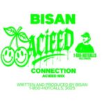 Bisan – Connection (Acieed Mix)