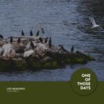 Edvard Hunger, Lior Fellus – Life Memories, Vol. 9