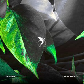 The Oryx – Guess What ¿