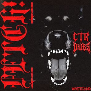 CTR DUBS – FETCH!