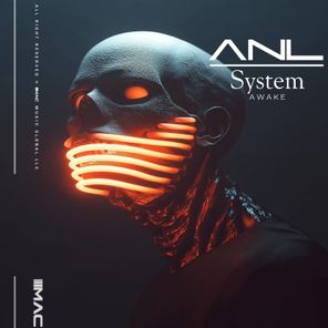 ANL – System Awake