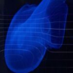 Lars Moston, Murmur Tooth - You, Me, Us, Spines 3 Lars Moston, Murmur Tooth – You, Me, Us, Spines