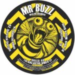 Mr Buzz, Mr Bradders – Back With A Bang